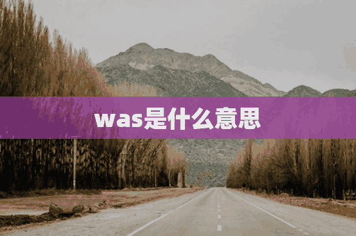 was是什么意思